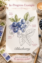 Size and paper details for the Lemon Grove Lantern watercolor print