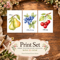 Sunlit Grove three-design watercolor print set from Fruit Orchard Grove