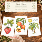 Picnic Patch Watercolor Trio Kit with three paint-your-own fruit patch designs