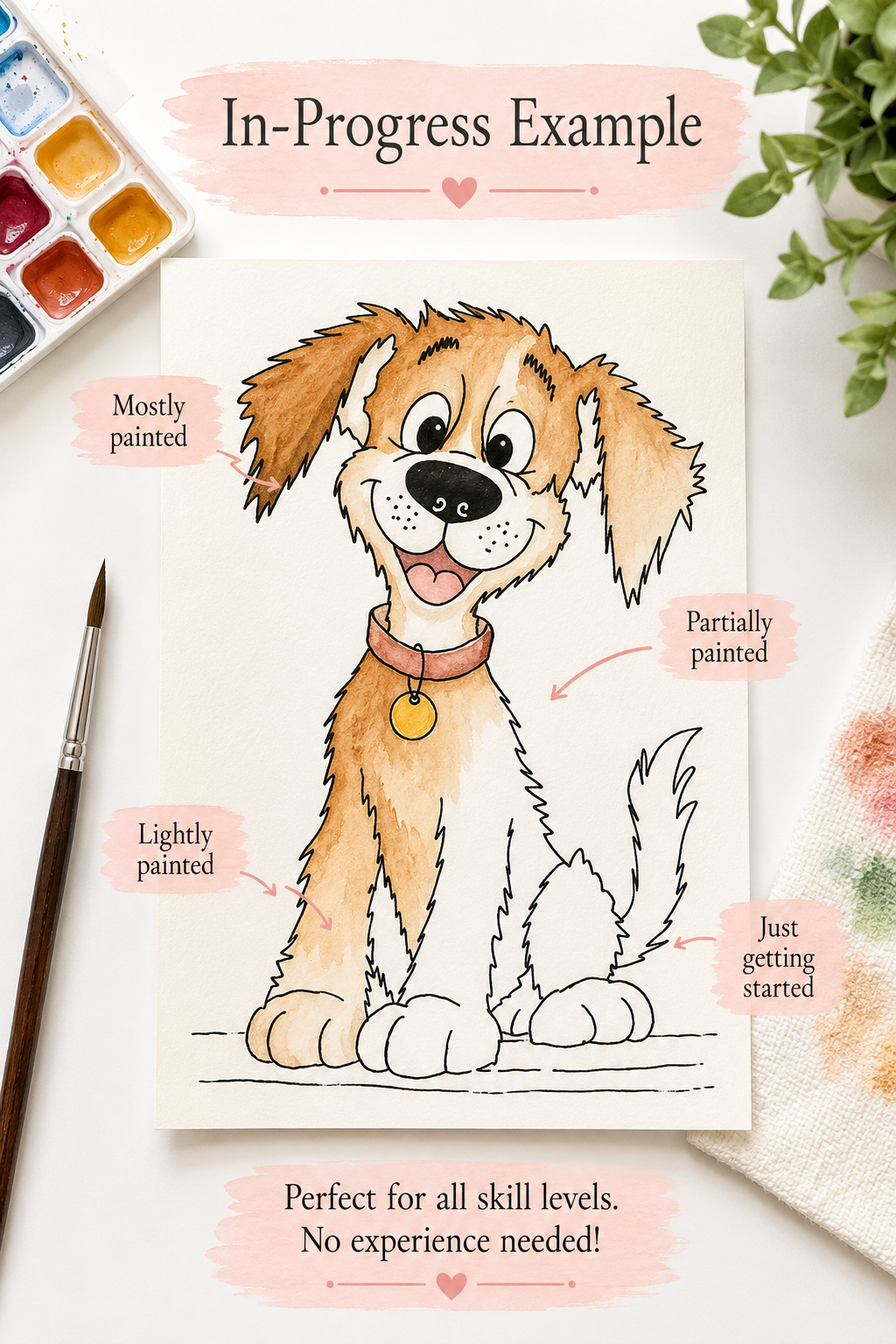 Charlie watercolor print details infographic