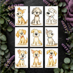 Tails Of Joy complete collection lifestyle scene