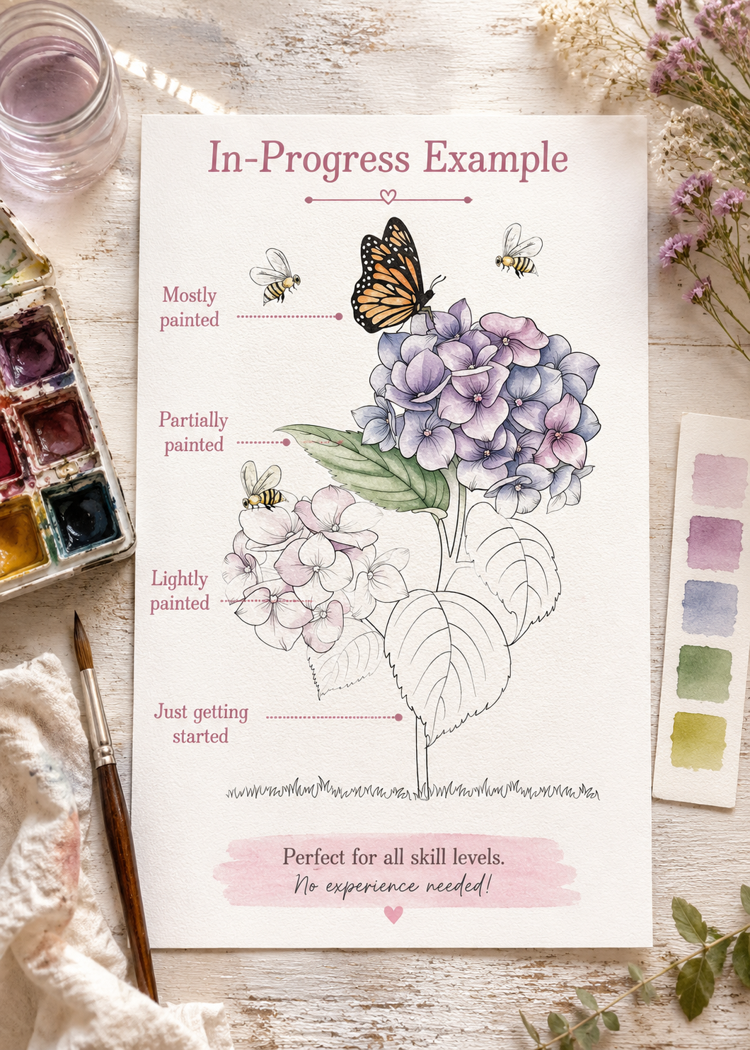 Hydrangea Hollow infographic