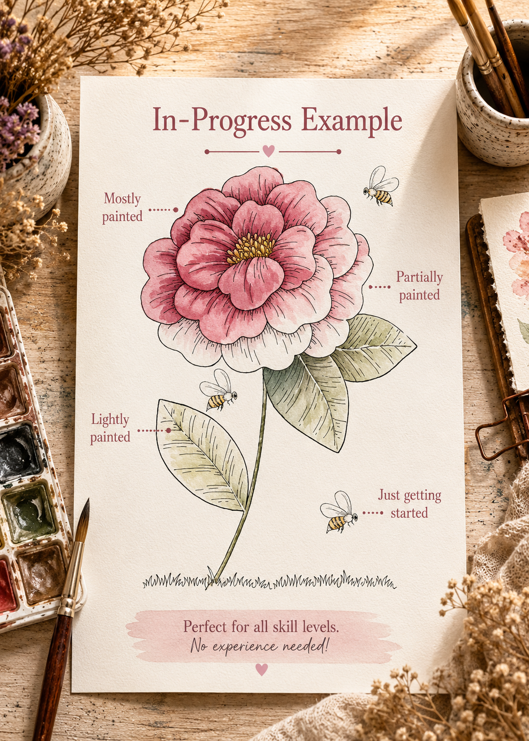 Cottage Rose Delight infographic