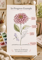 Chrysanthemum Charm infographic