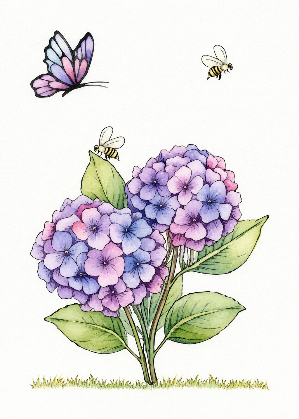 Butterfly Hydrangea Haven