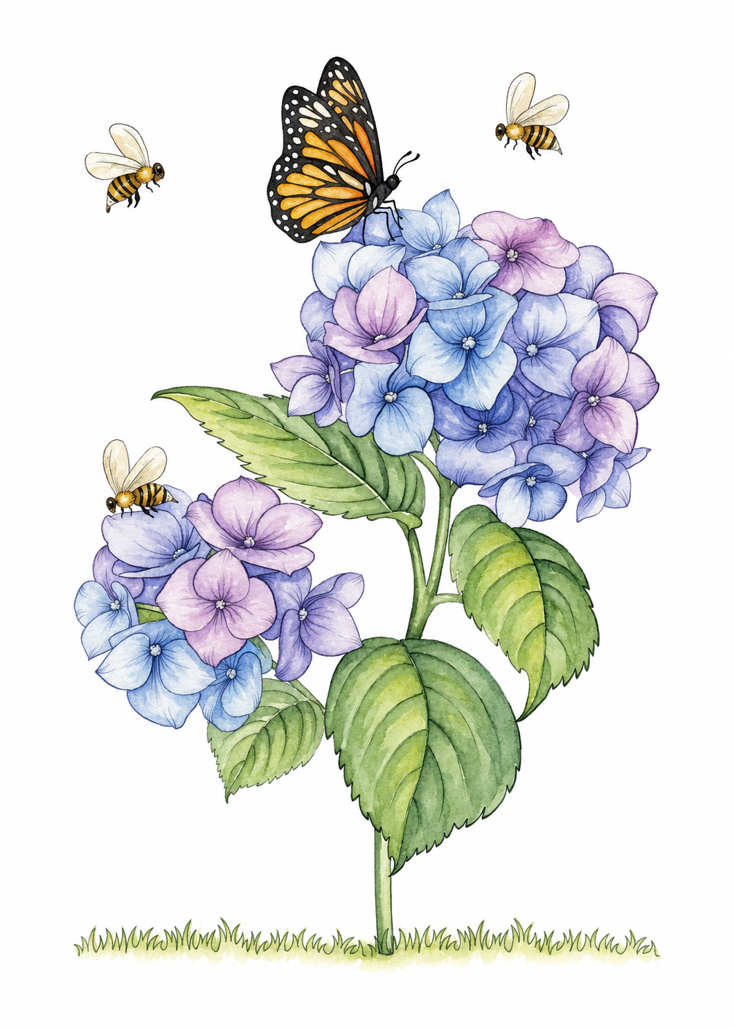 Hydrangea Hollow