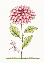 Chrysanthemum Charm painted design