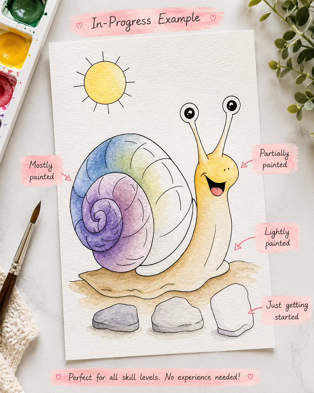 Pebble Path Snail infographic
