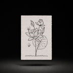 Lily Pond Lantern preview