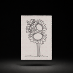Sunflower Sisters preview