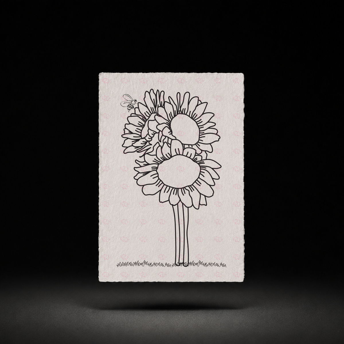 Sunflower Sisters preview