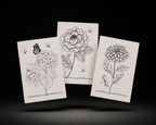 Hydrangea Haven 4x6 Print Set line art preview