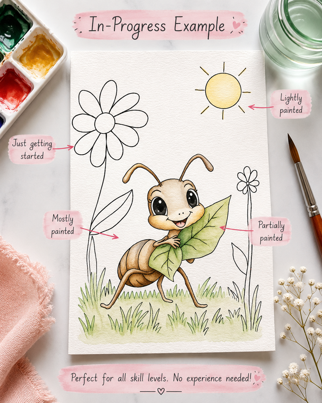 Sunny Leaf Ant infographic